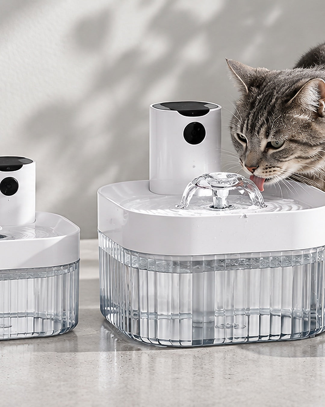 Fontes de água para pets com fluxo em movimento e um gato bebendo