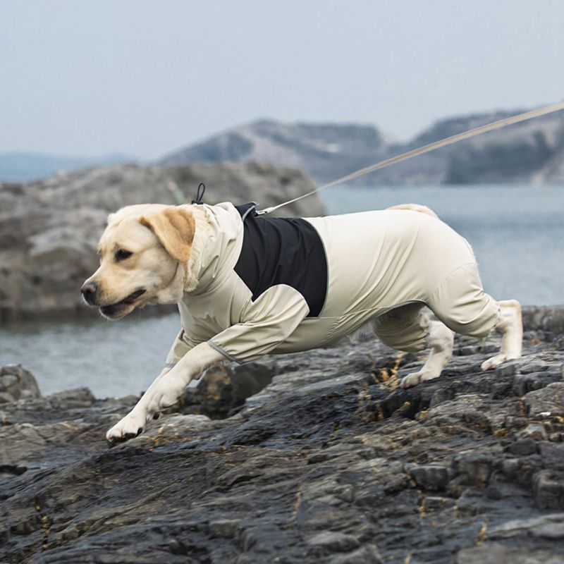 Capa de chuva impermeável para cão