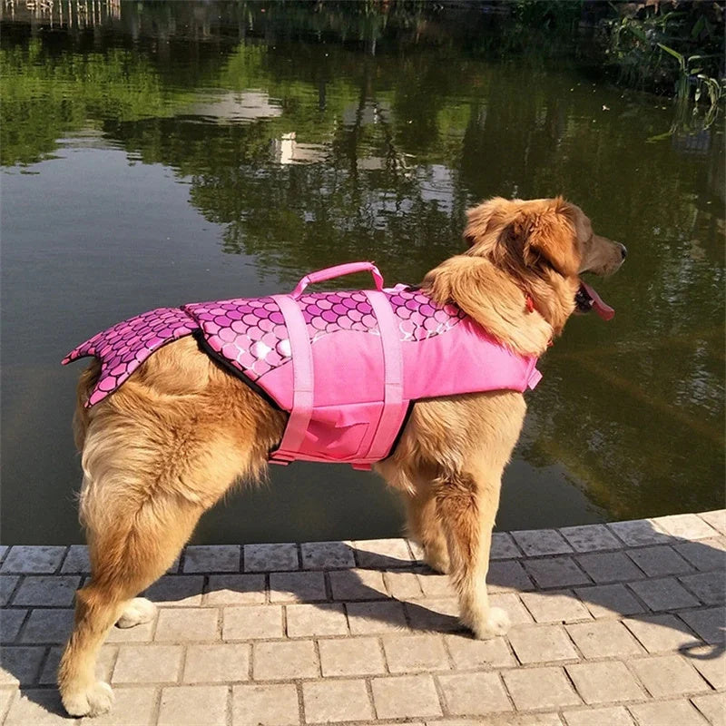 Colete de natação para cães com design de tubarão visto de perfil